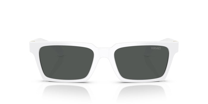 VE4490U — vista 4