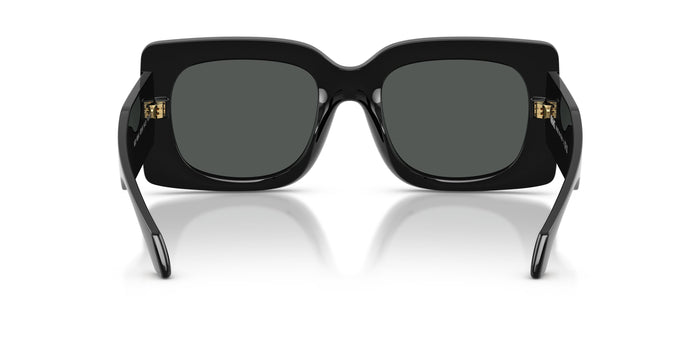 VE4496U — vista 3