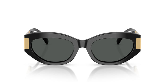 VE4501 — vista 4