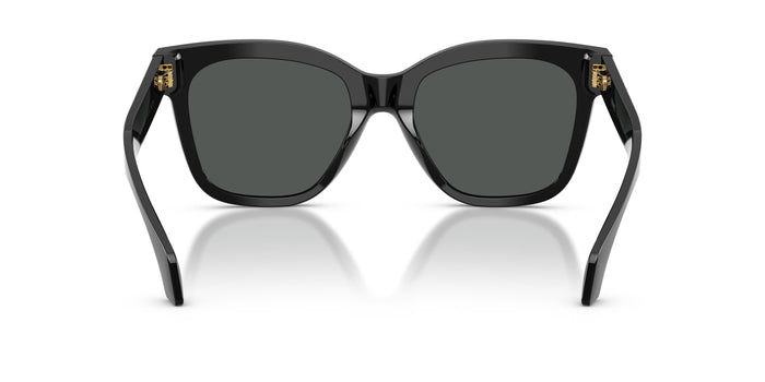 VE4511 — vista 3
