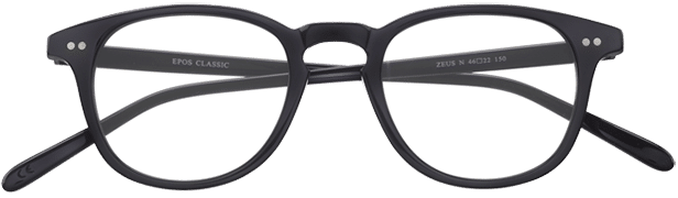 Sonnenbrille Epos ZEUS ICON N 49 20