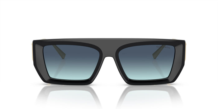 TF4214U — vista 2