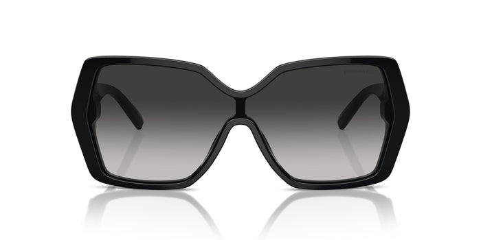 TF4219 — vista 4