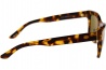 Serengeti Winona 528006 Shiny Tortoise 55 18