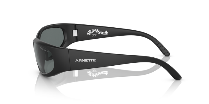 Gafas de Sol Arnette Catfish AN4302 275881 62 16 — vista 3