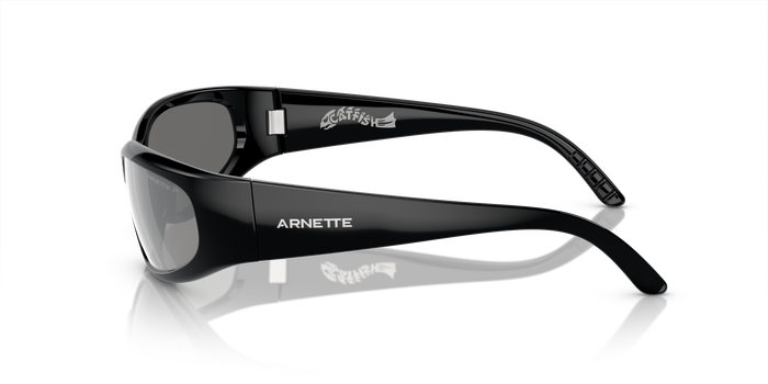 Gafas de Sol Arnette Catfish AN4302 2900Z3 65 16 — vista 3