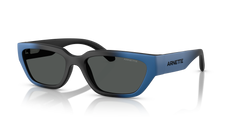 Sunglasses Arnette Curbside AN4350 297587 55 18
