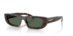 Sunglasses Arnette Al AN4357 122271 53 17