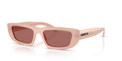 Sunglasses Arnette Al AN4357 124769 53 17