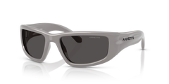 Sunglasses Arnette Zyme AN4358 296187 58 19