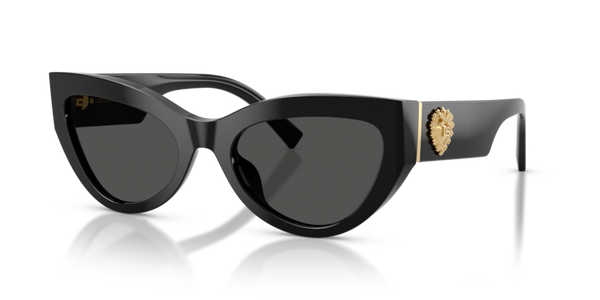 Dolce Gabbana DG4536 501/87 55 20 太阳镜