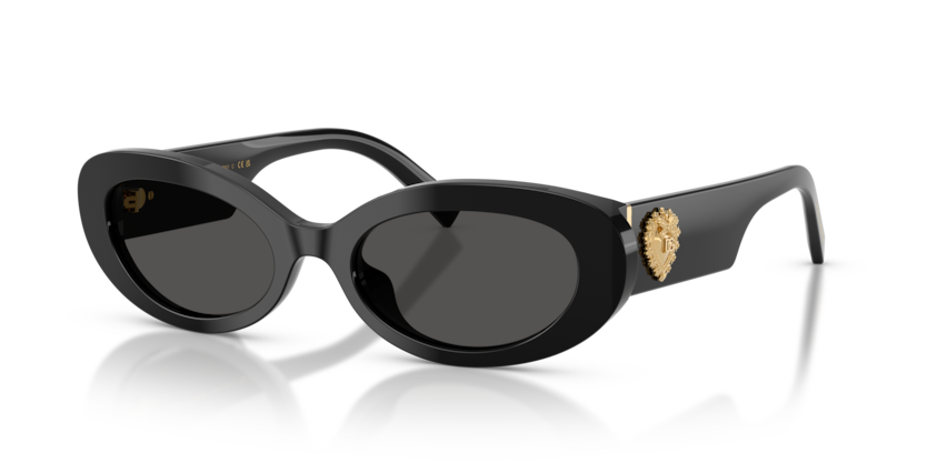Gafas de Sol Dolce Gabbana DG4537 501/87 53 19