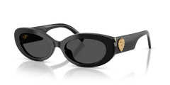 Gafas de Sol Dolce Gabbana DG4537 501/87 53 19