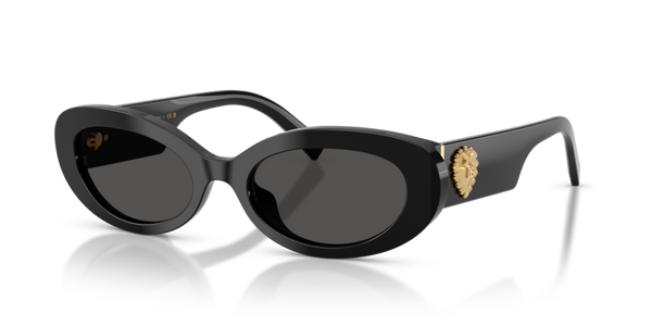 Dolce Gabbana DG4537 501/87 53 19 太阳镜
