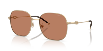 Sunglasses Diesel DL1010D 101173 55 18