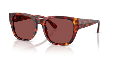 Sunglasses Diesel DL2005 202375 53 19