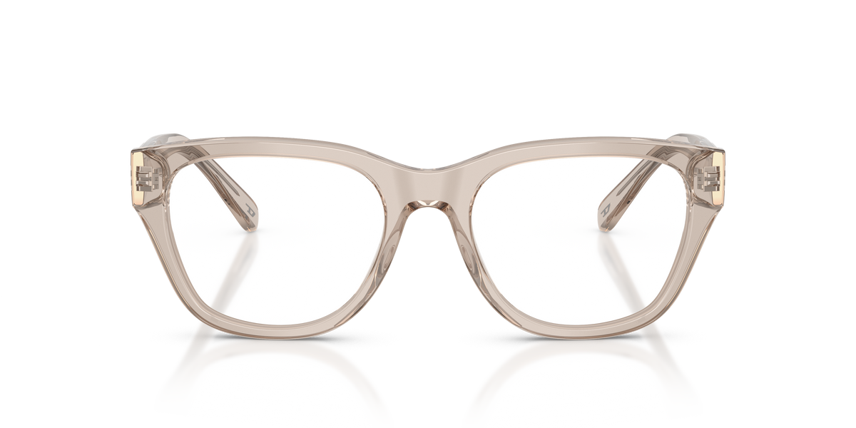 Eyeglasses Diesel DL4001 2007 51 19