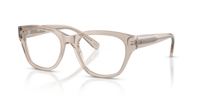Eyeglasses Diesel DL4001 2007 51 19