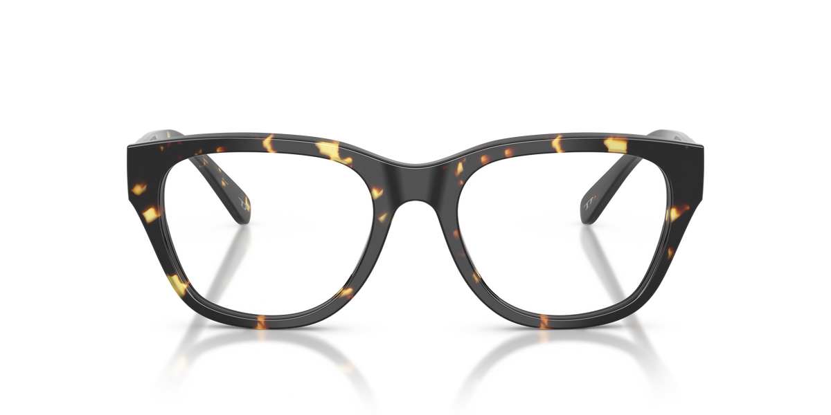 Eyeglasses Diesel DL4001 2017 51 19