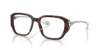 Eyeglasses Diesel DL4009 2003 52 18
