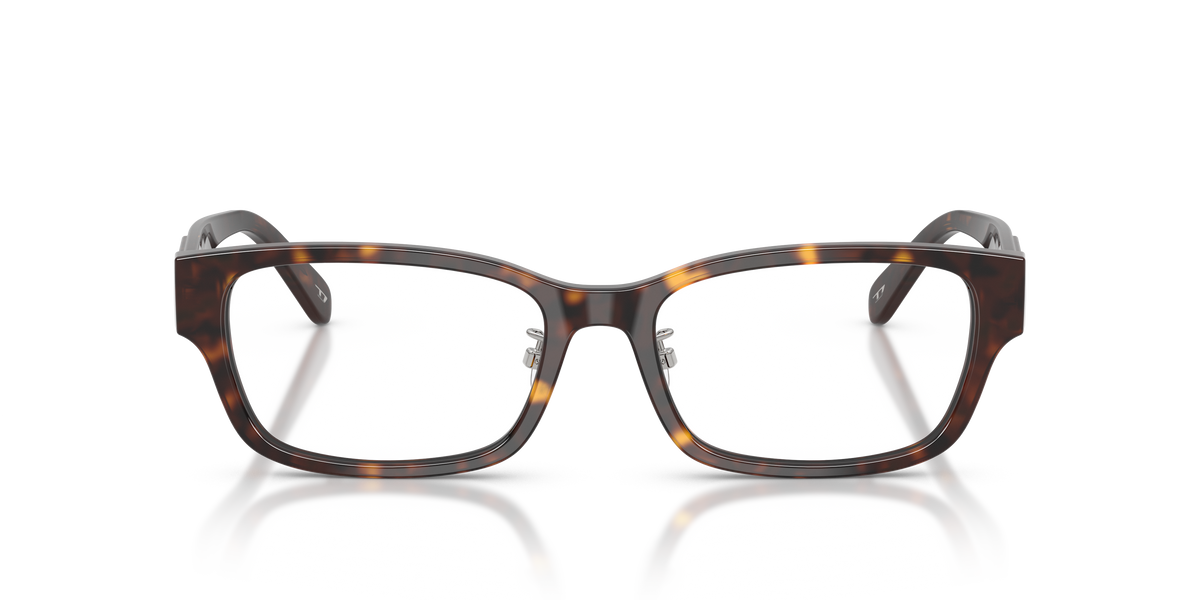 Brille Diesel DL4010D 2003 55 17