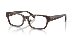 Brille Diesel DL4010D 2003 55 17