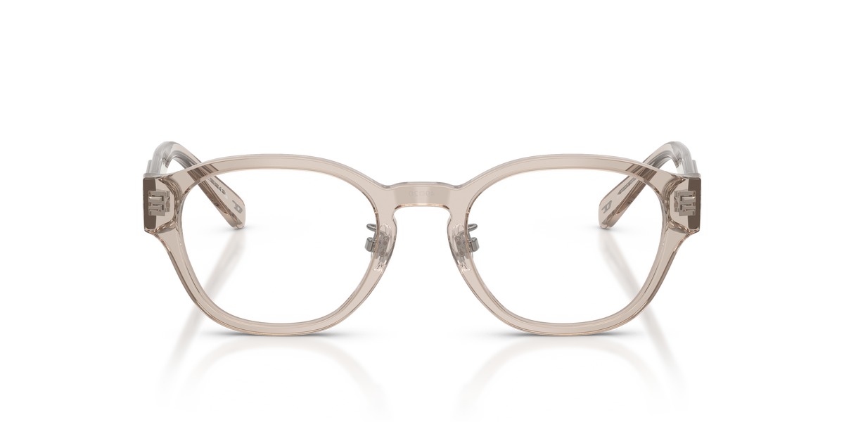 Brille Diesel DL4011D 2007 49 20
