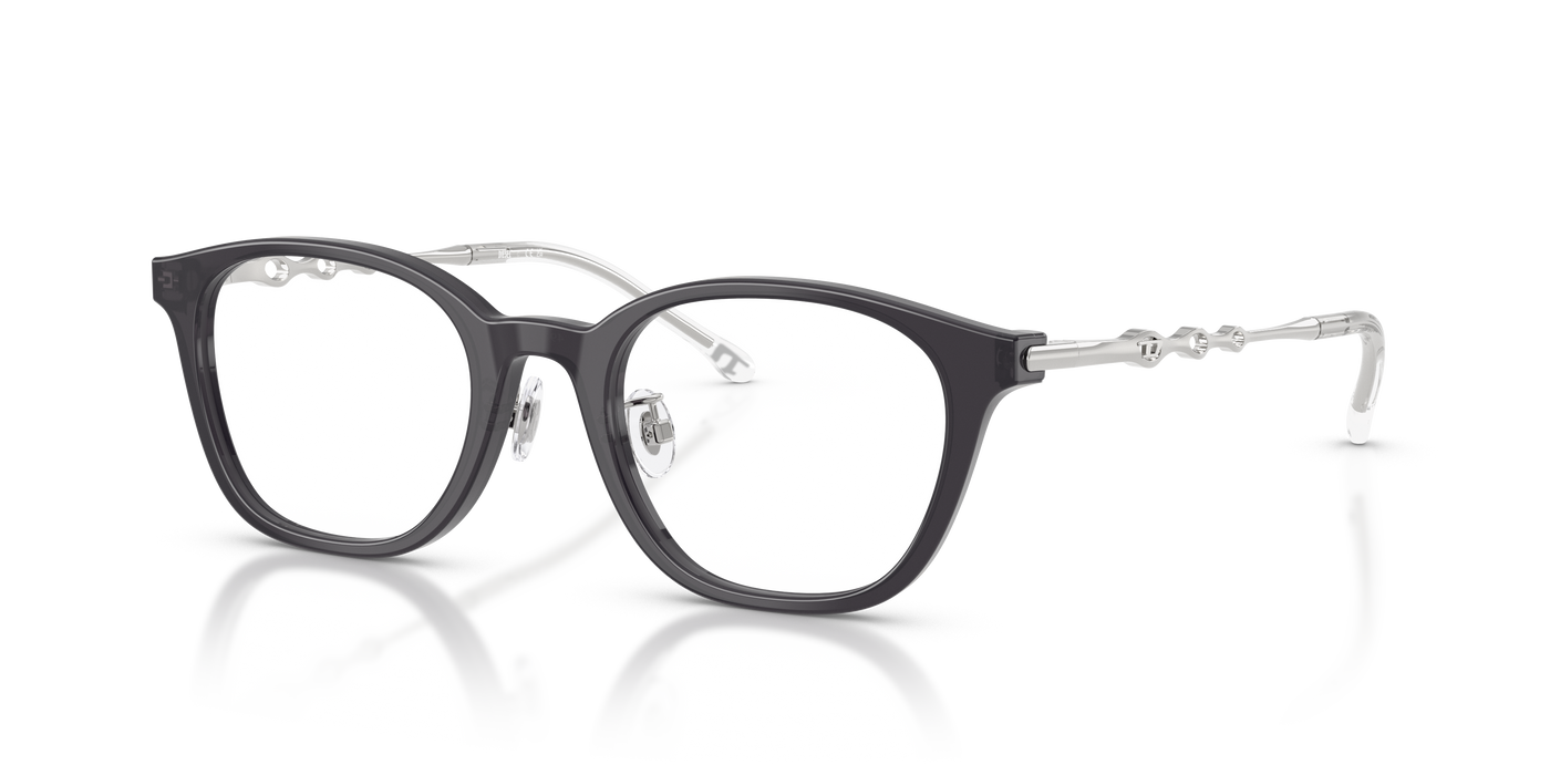 Gafas Graduadas Diesel DL4013D 2027 49 20