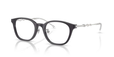 Gafas Graduadas Diesel DL4013D 2027 49 20
