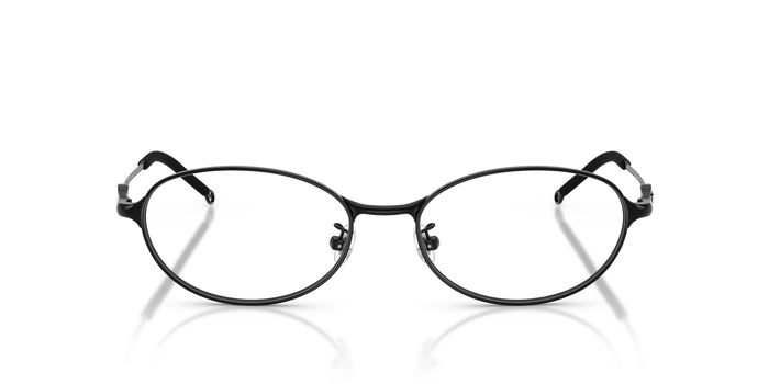 Brille Diesel DL5004D 1002 53 17 — vista 2