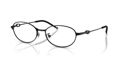 Eyeglasses Diesel DL5004D 1002 53 17