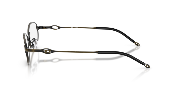 Brille Diesel DL5004D 1029 53 17 — vista 3