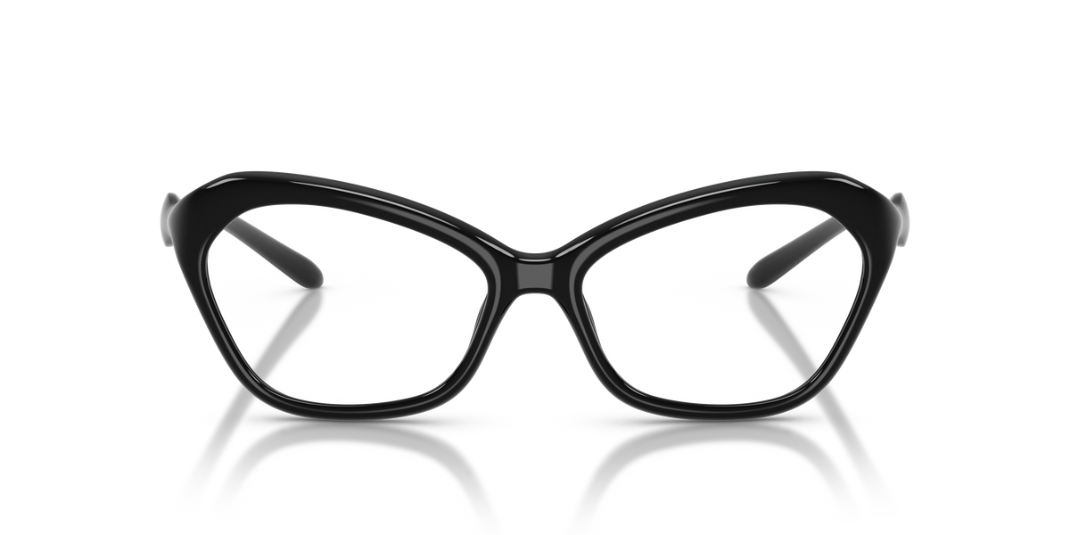 Brille Diesel DL6003U 2001 55 16
