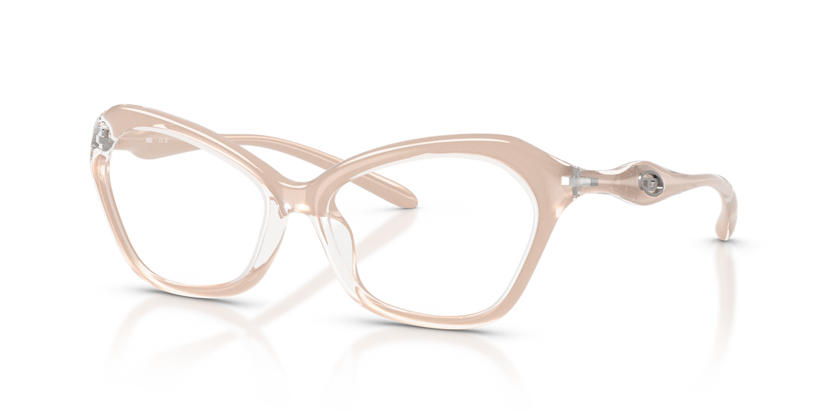 Brille Diesel DL6003U 2034 55 16