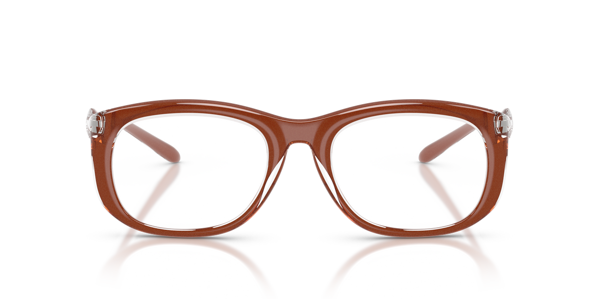 Eyeglasses Diesel DL6006U 2033 54 20