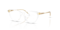 Gafas Graduadas Dolce Gabbana DX3002 3133 48 / 50 15