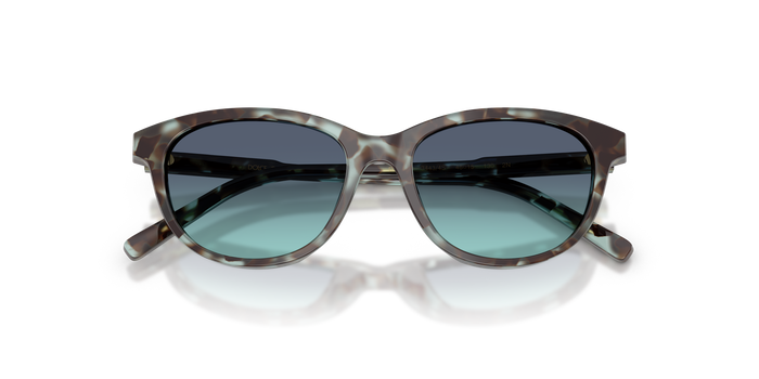 Солнцезащитные очки Dolce Gabbana DX4010 34434S 48 15 — vista 5