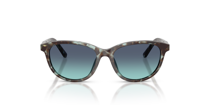 Солнцезащитные очки Dolce Gabbana DX4010 34434S 48 15 — vista 4