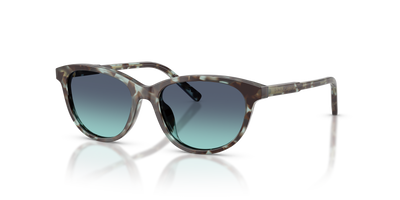 Sunglasses Dolce Gabbana DX4010 34434S 48 15