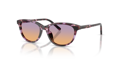 Sunglasses Dolce Gabbana DX4010 3477EL 48 15
