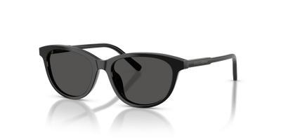Sunglasses Dolce Gabbana DX4010 501/87 48 15