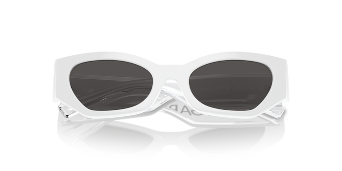 Sunglasses Dolce Gabbana Dx6003 DX6003 331287 48 18 — vista 5