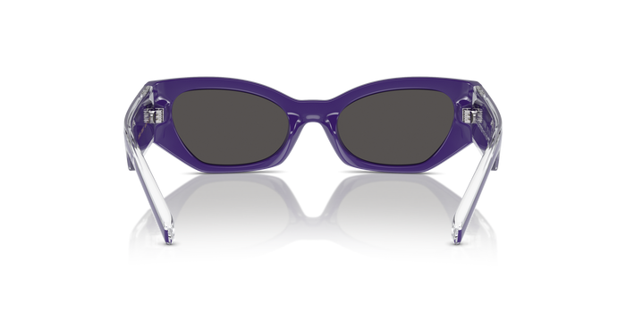 Sunglasses Dolce Gabbana Dx6003 DX6003 333587 48 18 — vista 3