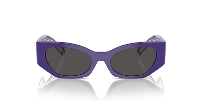 Sunglasses Dolce Gabbana Dx6003 DX6003 333587 48 18 — vista 4