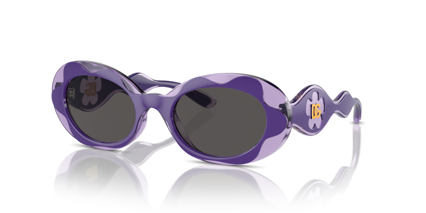 Sunglasses Dolce Gabbana Dx6005 DX6005 333587 49 19
