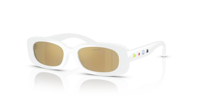 Lunettes de Soleil Dolce Gabbana Dx6006U DX6006U 33127P 46 16