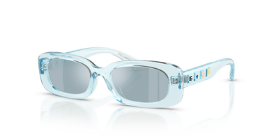 Lunettes de Soleil Dolce Gabbana Dx6006U DX6006U 33466J 46 16