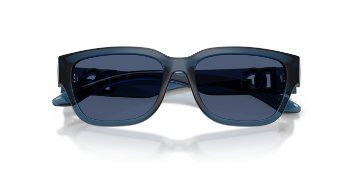 Gafas de Sol Dolce Gabbana Dx6009 DX6009 300980 50 15 — vista 5