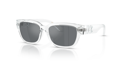 Sunglasses Dolce Gabbana Dx6009 DX6009 31336G 50 15