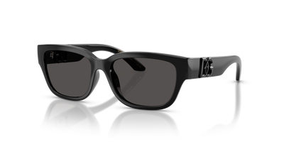 Sunglasses Dolce Gabbana Dx6009 DX6009 501/87 50 15
